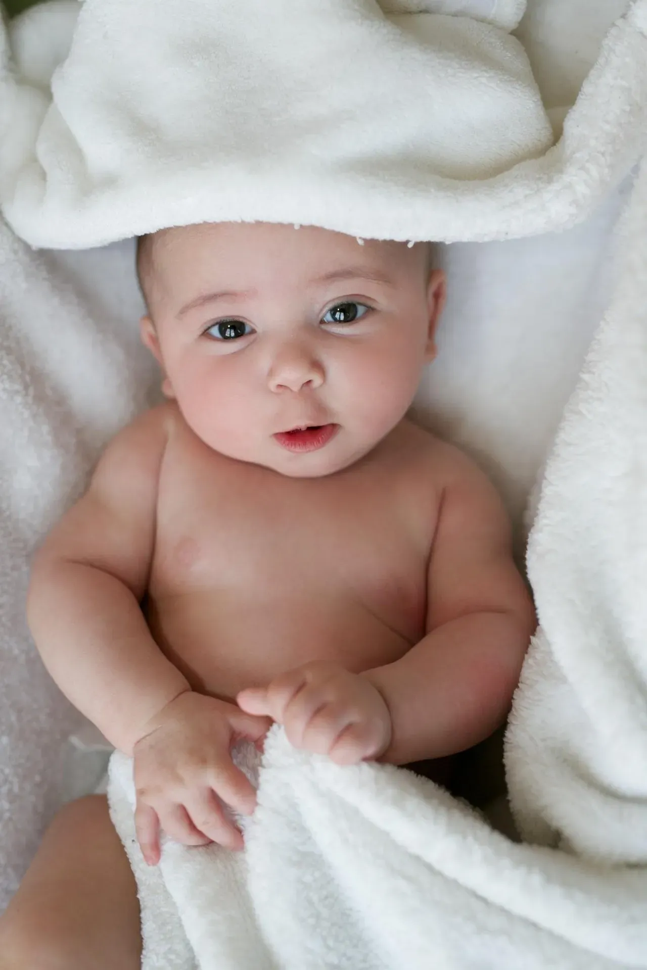 bebe